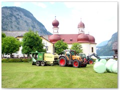 Landwirtschaft