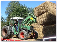 Landwirtschaft-2